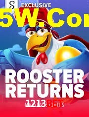 Crash Games Strategies 1213bet